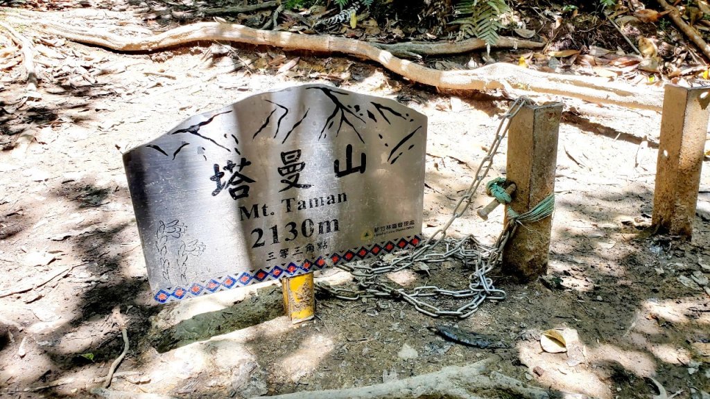 【中級山】是誰，在森林裡施放了魔法與巫術，幽靈草，如此魅惑，魔幻森林塔曼山_2743691