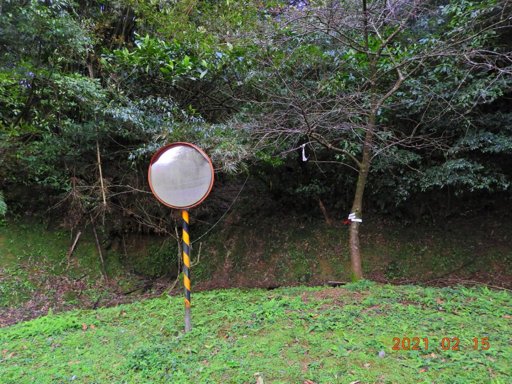 新北 雙溪 上內平林山、下內平林山_1273144