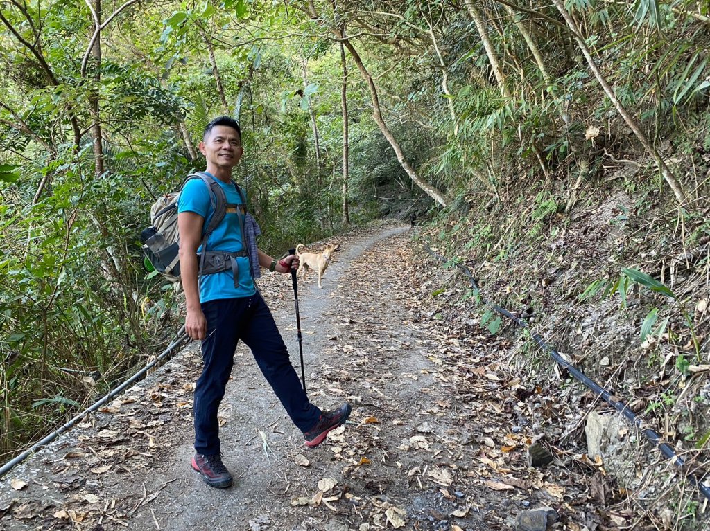 六龜美輪山【享受簡單純粹的登山樂趣】_2415531