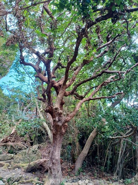 【屏東恆春】自然風情。 社頂自然公園步道_2391657