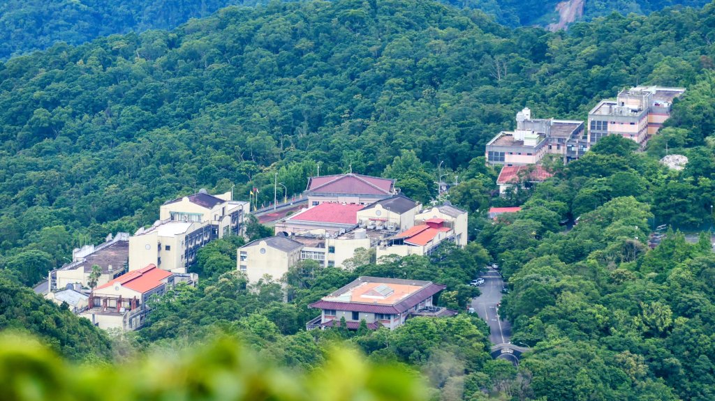 南勢坑小尖,大尖封面圖