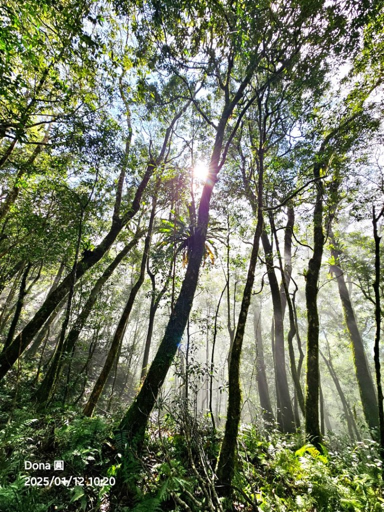 【北插天山】福山上北插天山(整理山徑架繩索布條完工)_2689697