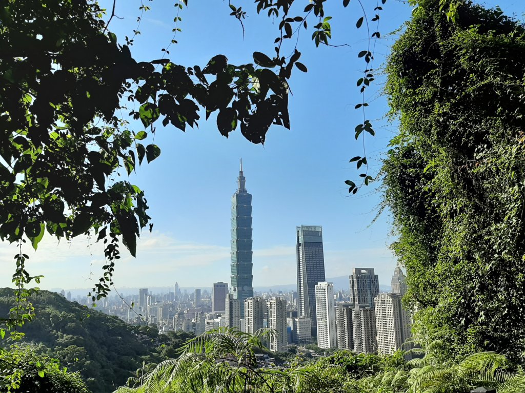 虎、豹、獅、象、九五峰、南港山、拇指山_1145243