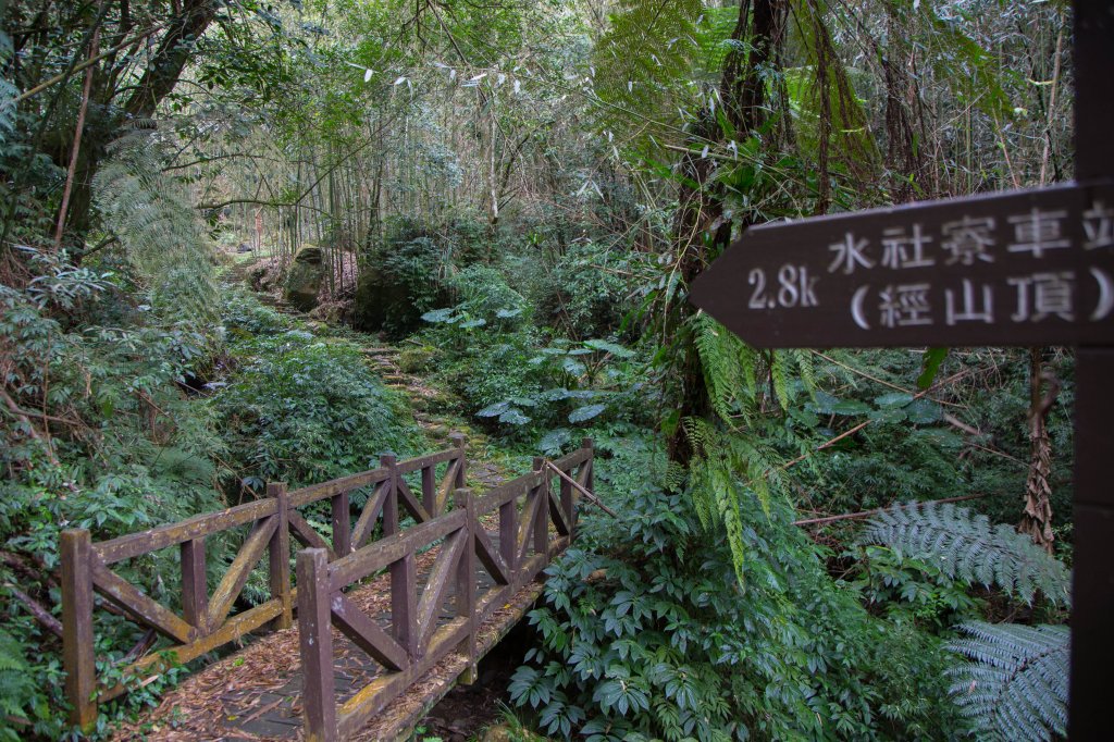 步道巡訪員│四大天王山步道一月巡訪日誌_817794