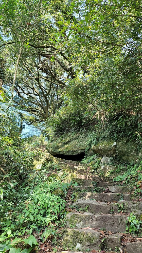 向天山面天山步道_2050538