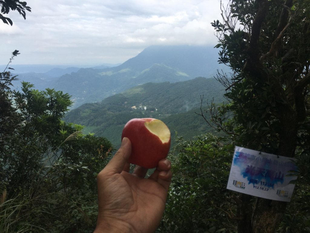 南庄龍❤️、向天湖山、光天高山、大龍山、小東河山封面圖