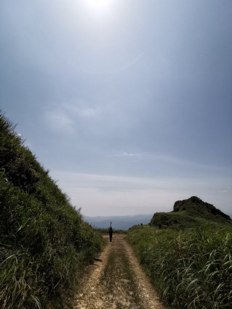 燦光寮古道O型_935142