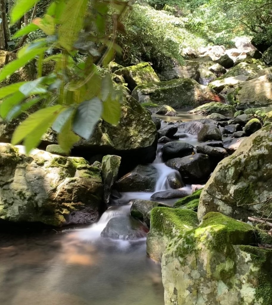 坪頂古圳親山步道封面圖