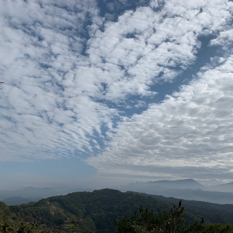 新竹飛鳳山_1205442