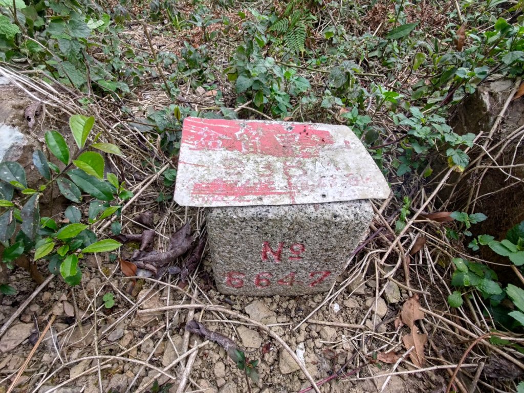 盆貿里山三盆連走封面圖