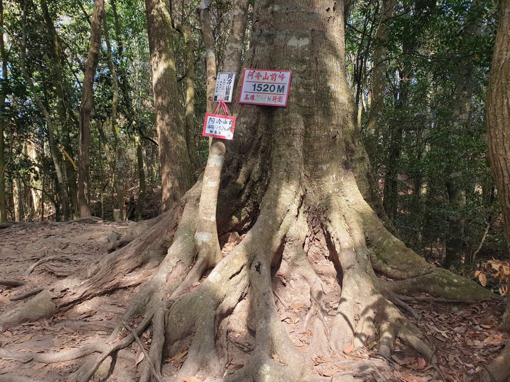 阿冷山封面圖