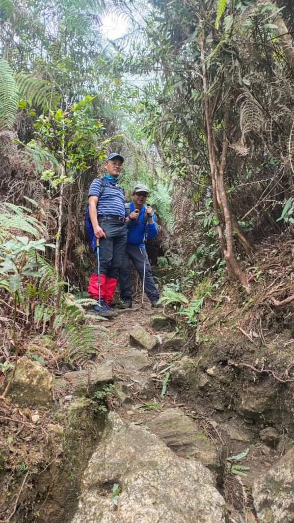 2022年02月13日(彰山協)南投日月潭四兄妹之中級山~大尖山縱走水社大山_1613488