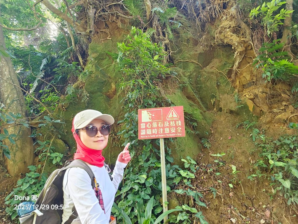 20251229石龜坑山上白石山下白石埤O走+阿姆坪_2976651