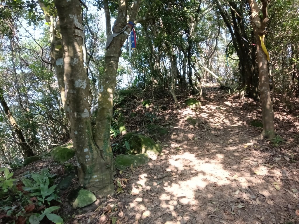 貢寮區新厝山+澳底尖(火炎山)+美艷山+金沙灣_2989726