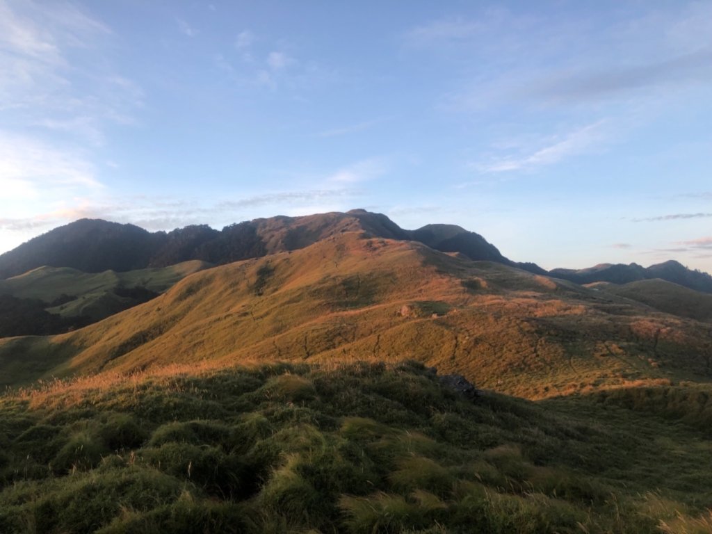 水鹿天堂-能高安東軍蹤走_682972