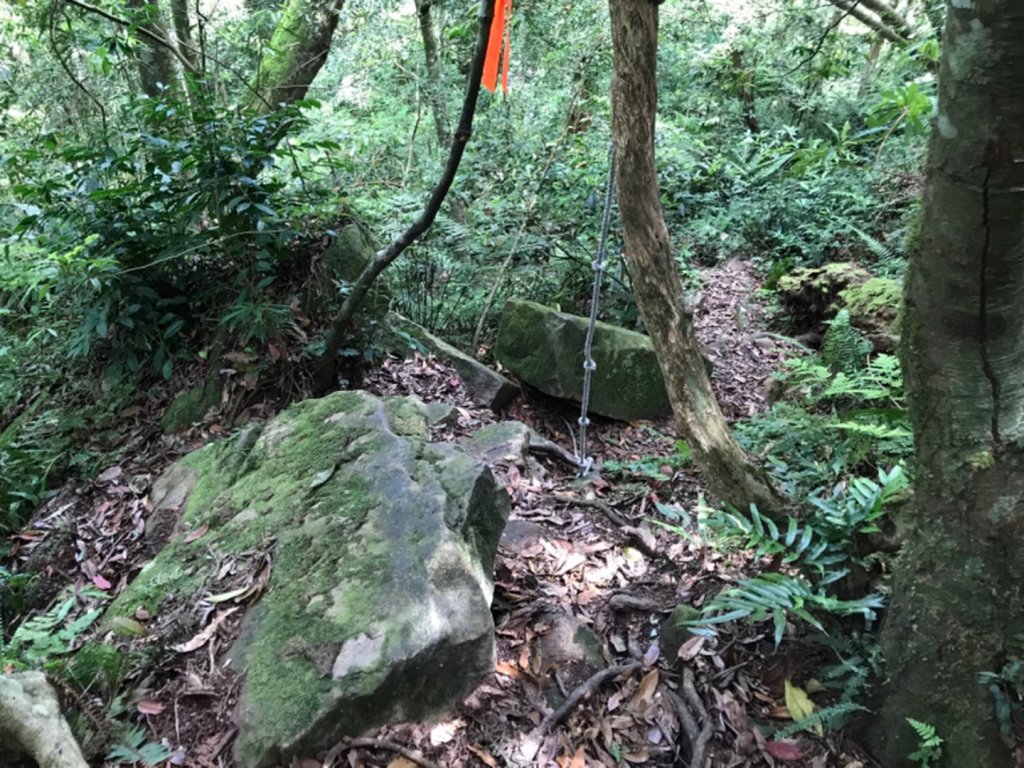 嘎色鬧走那結山_1370940