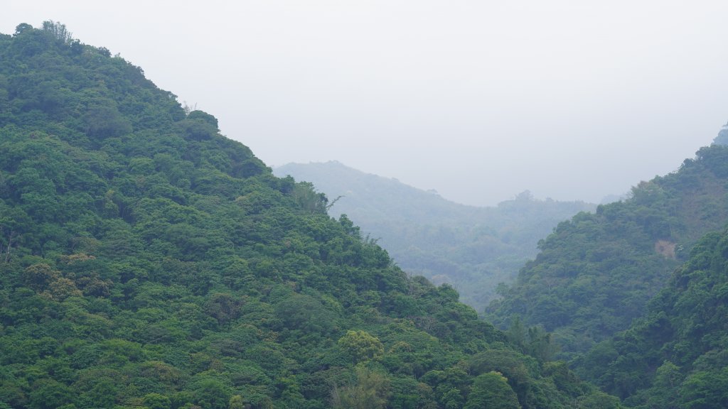 溪頭鳳凰山 隆田登山口上下_1676437