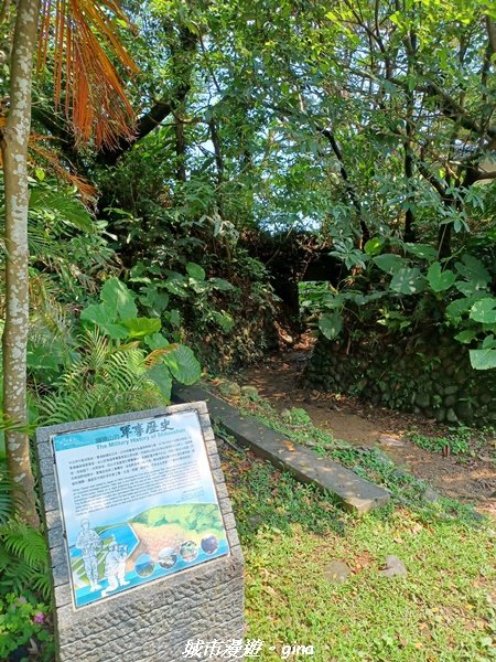 【新北金山】三面臨海視野佳。 獅頭山公園步道x神秘海灘x燭臺雙嶼_2818734