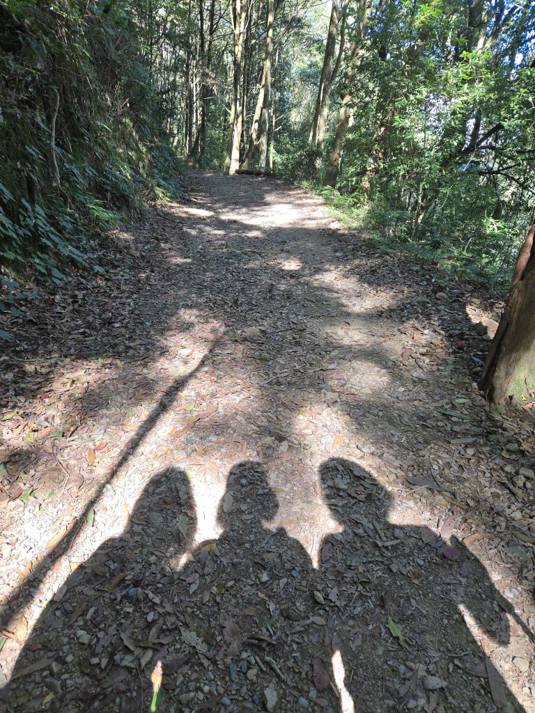 20250817橫笛沙O繞封面圖