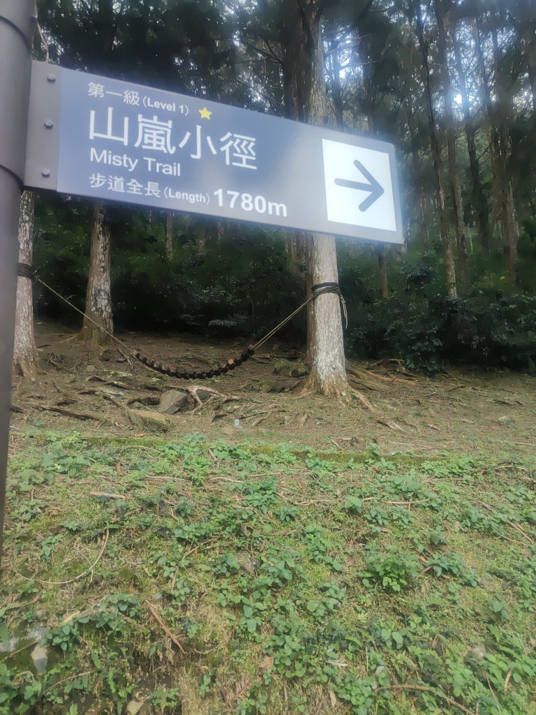 惠蓀湯公啤&小嵐_2697820