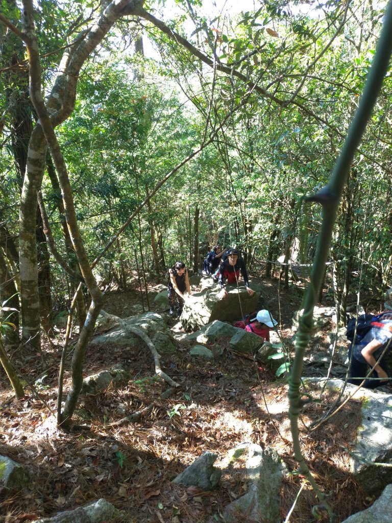 鳶嘴山&稍來山 一次完結封面圖