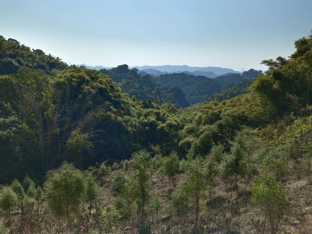 20230129台中太平大湖桶山_2011039