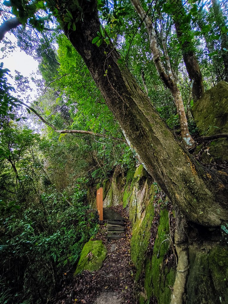 2025-03-08 汶水三山：金童山、汶水山、玉女山 連走_2736498