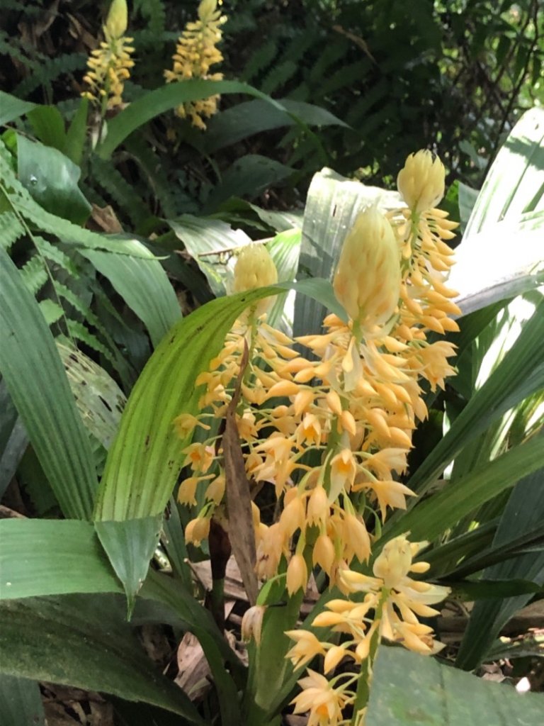 畝畝山、青林山、石古井、石硿子瀑布、石硿子古道O走_1492706