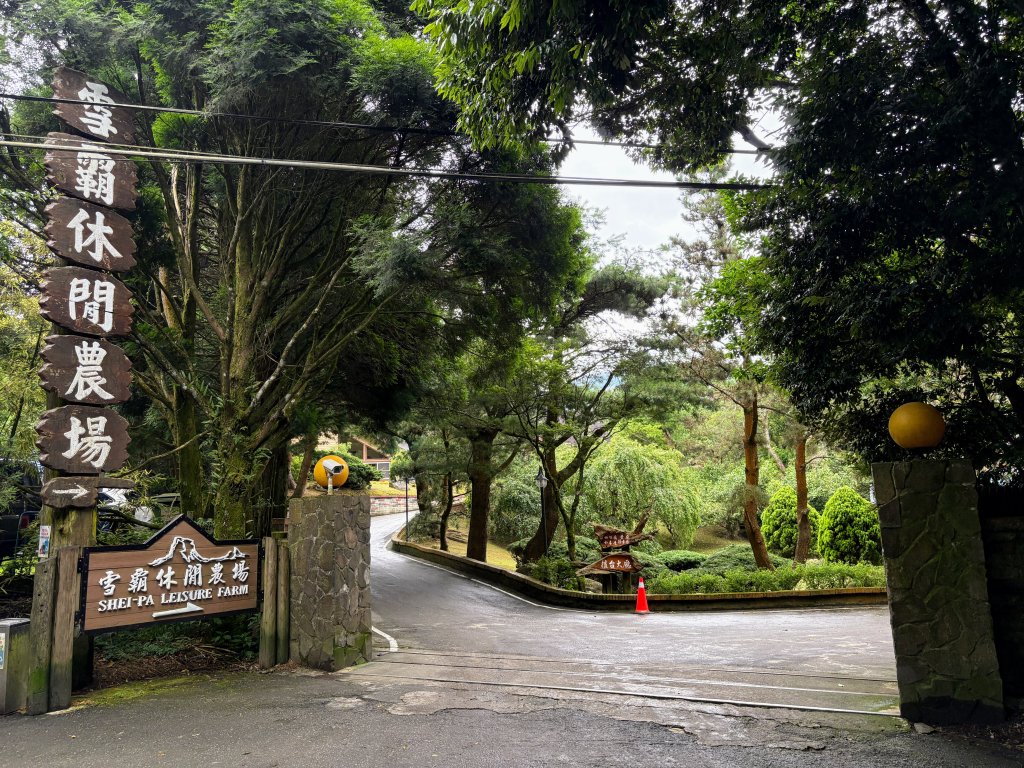 野馬瞰山_2846915