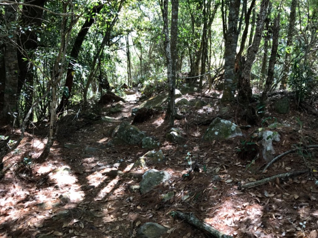 七雄完登波津加_464387