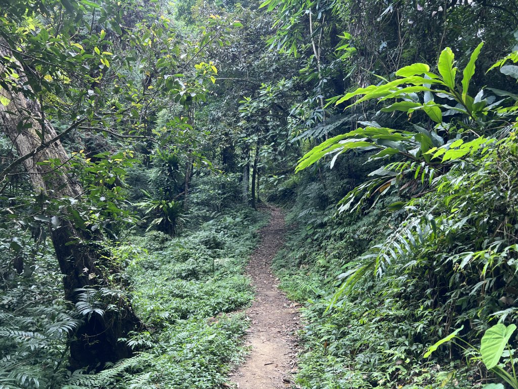 2023-08-13 馬那邦山（馬拉邦山）_2251252
