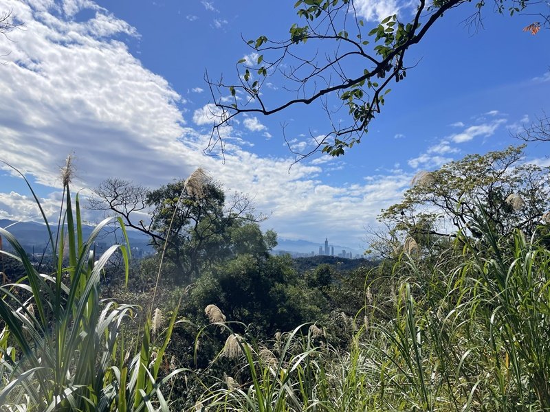 大湖翠湖金龍湖_2711907