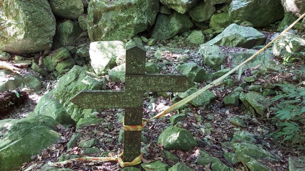 屋東縱走_1118519