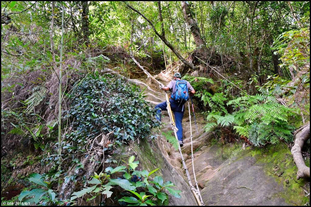 直擊 五寮尖山 の 仲夏岩場_376663