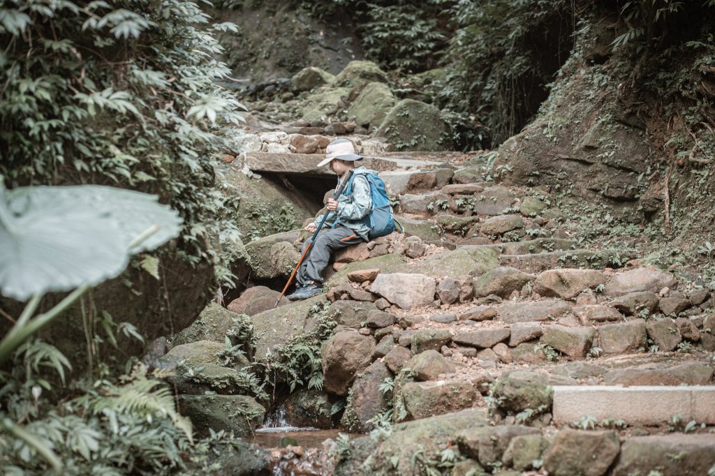 菅芒浪白｜五分山_2356483