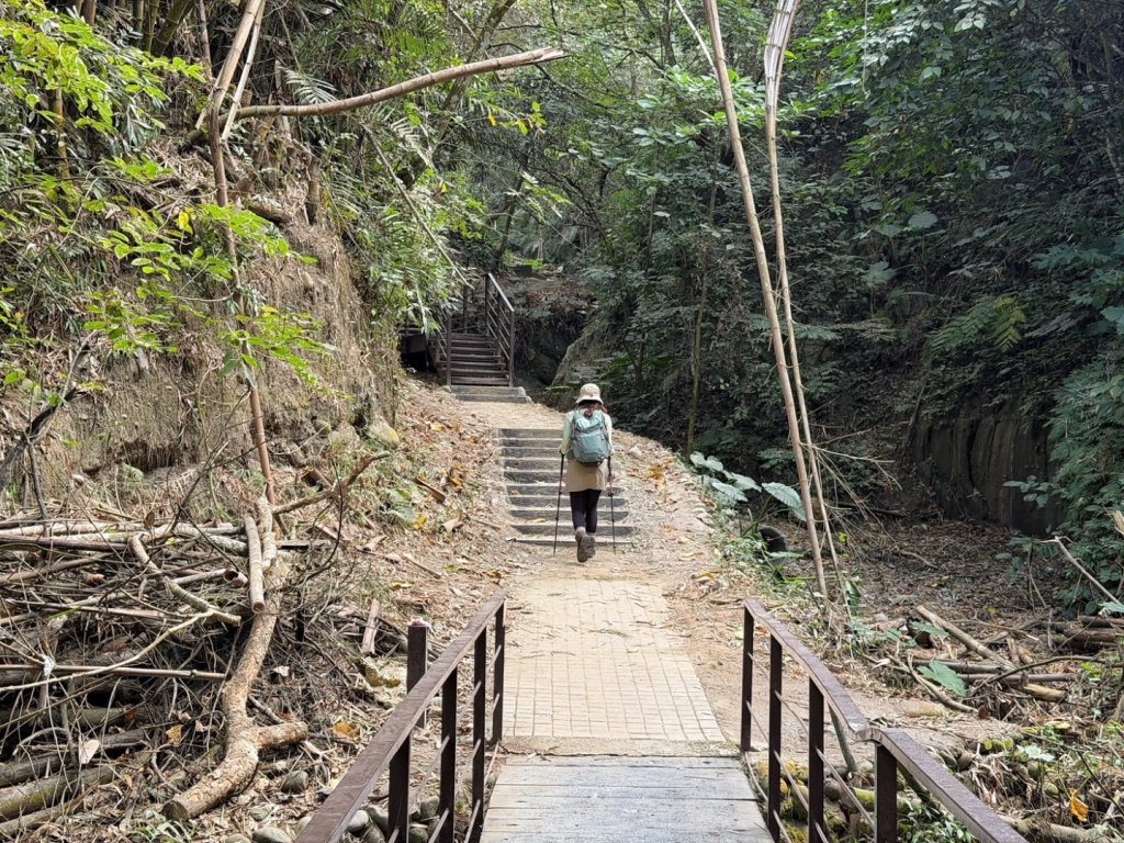 龍過脈森林步道_2960947