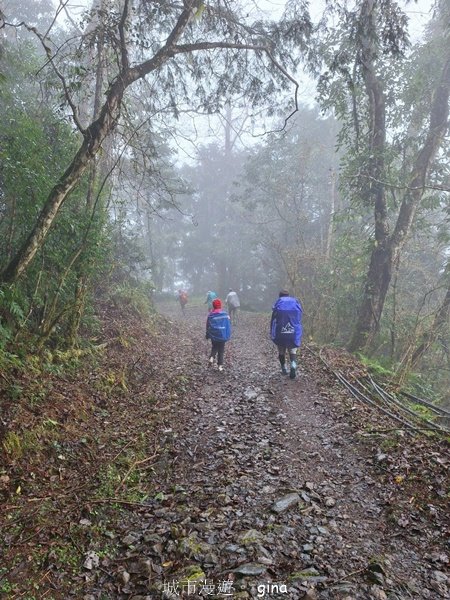 【宜蘭大同】走入魔法森林之仙女散落的珍珠。 太加縱走 (夢幻美的加羅湖)_2469319
