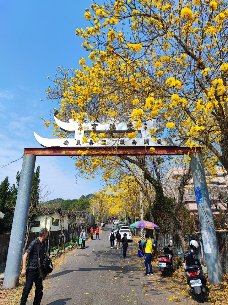 坑內坑森林步道-(彰化)臺灣百大必訪步道封面圖
