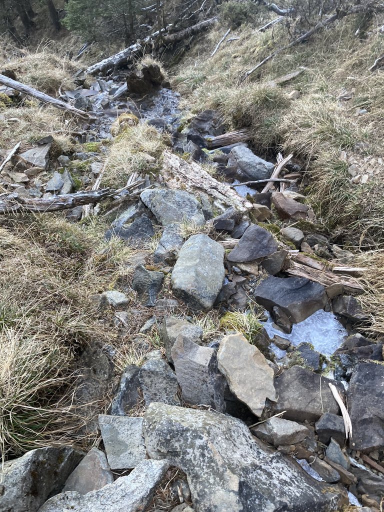 順撿甘木林之雪山西稜接志摩山稜線下小雪山林道_2012223