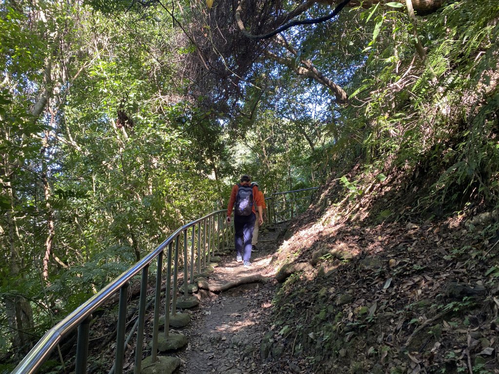 《銀河洞越嶺到貓空｜冬日健行 4 5 公里秘境步道｜親子也適合的台北近郊路線》_2971029
