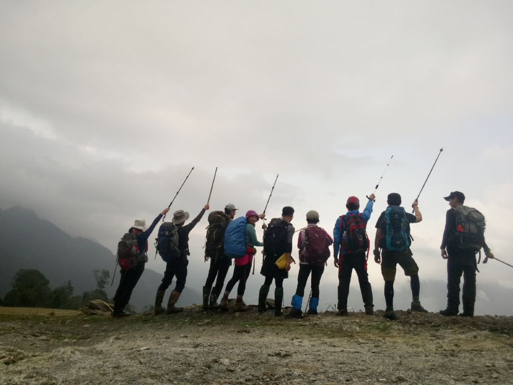 米羅山之木_292547