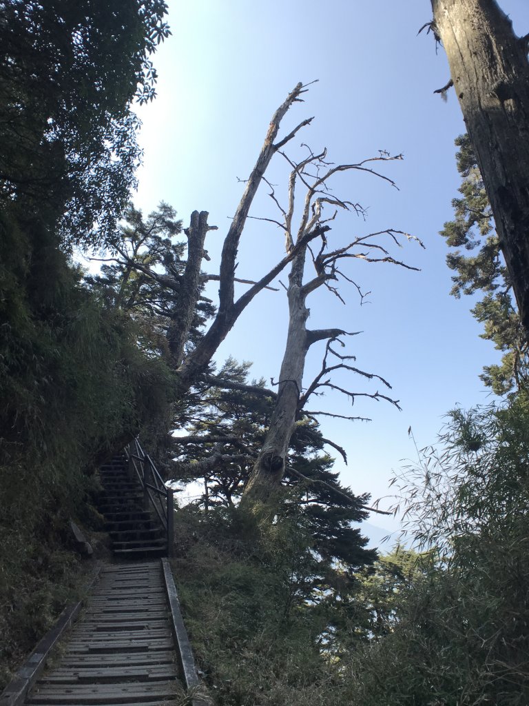 玉山八通關之最_1318022