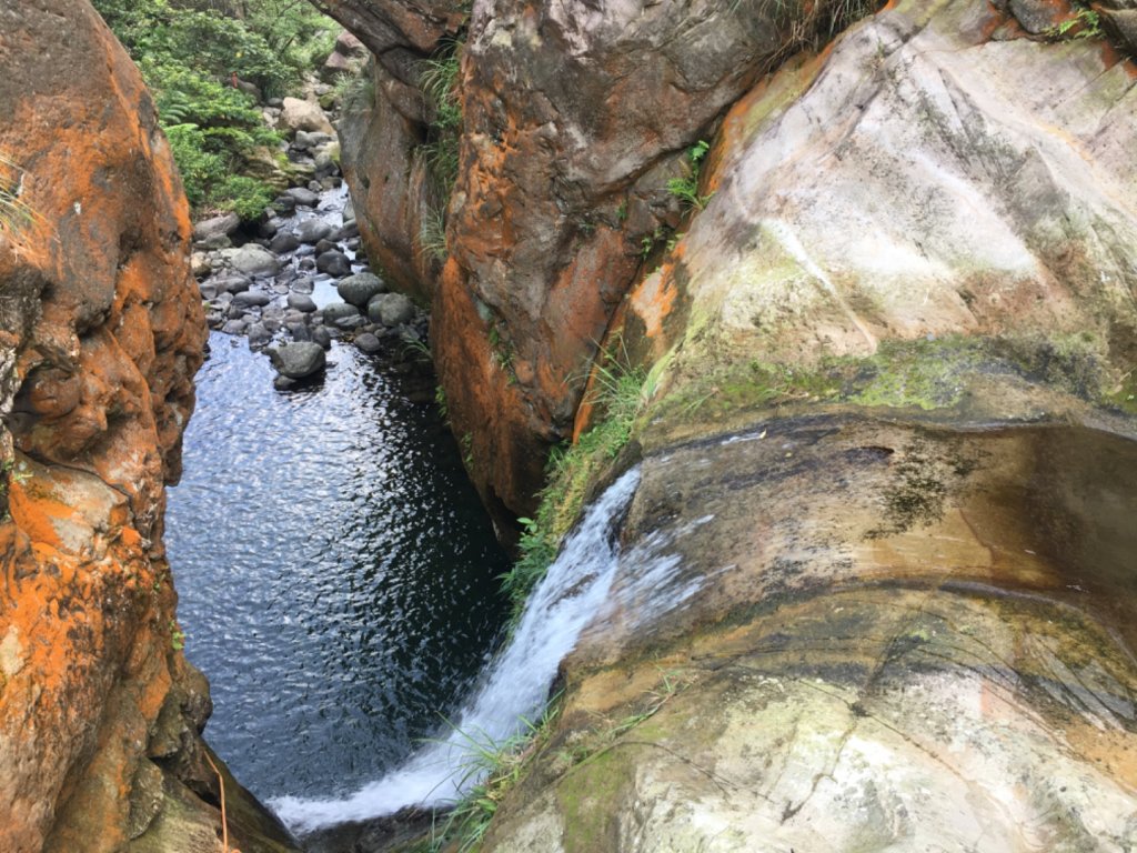 戲水封面圖