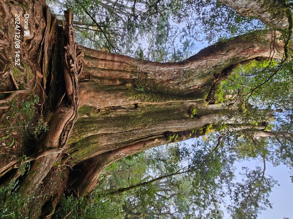 追趕跑跳蹦的羅馬縱走_2666228