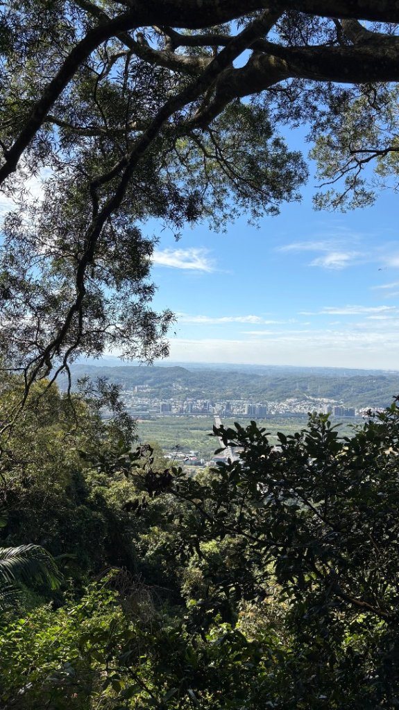 2025-11-30 飛鳳山 走來回封面圖