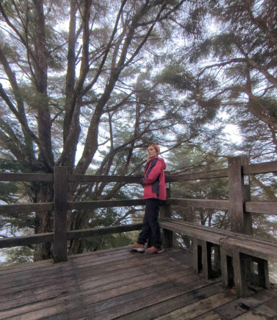 玉山西峰封面圖