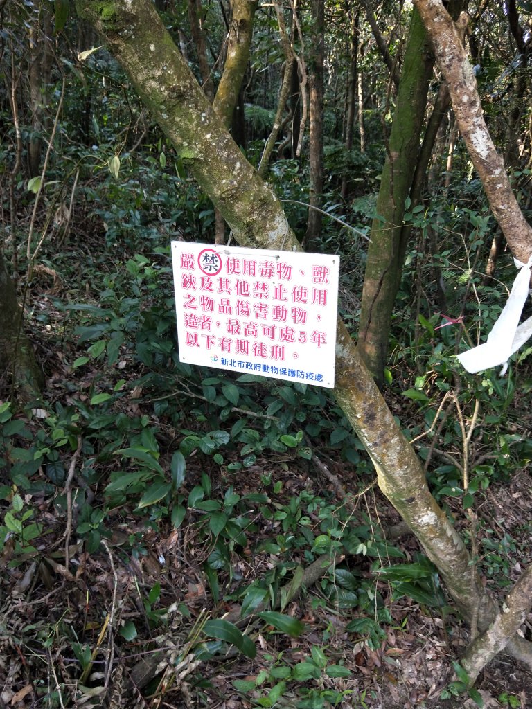 臺北大縱走第五段：劍潭支線_1677277