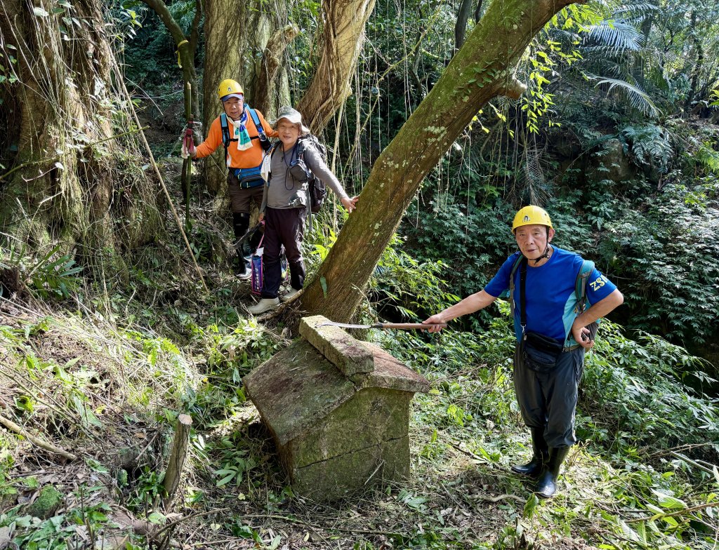 瑞芳蛇子形古道_2748072