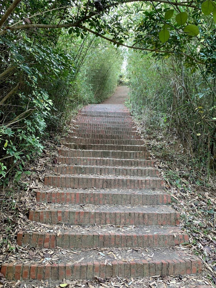 十二寮登山步道20230228_2045367