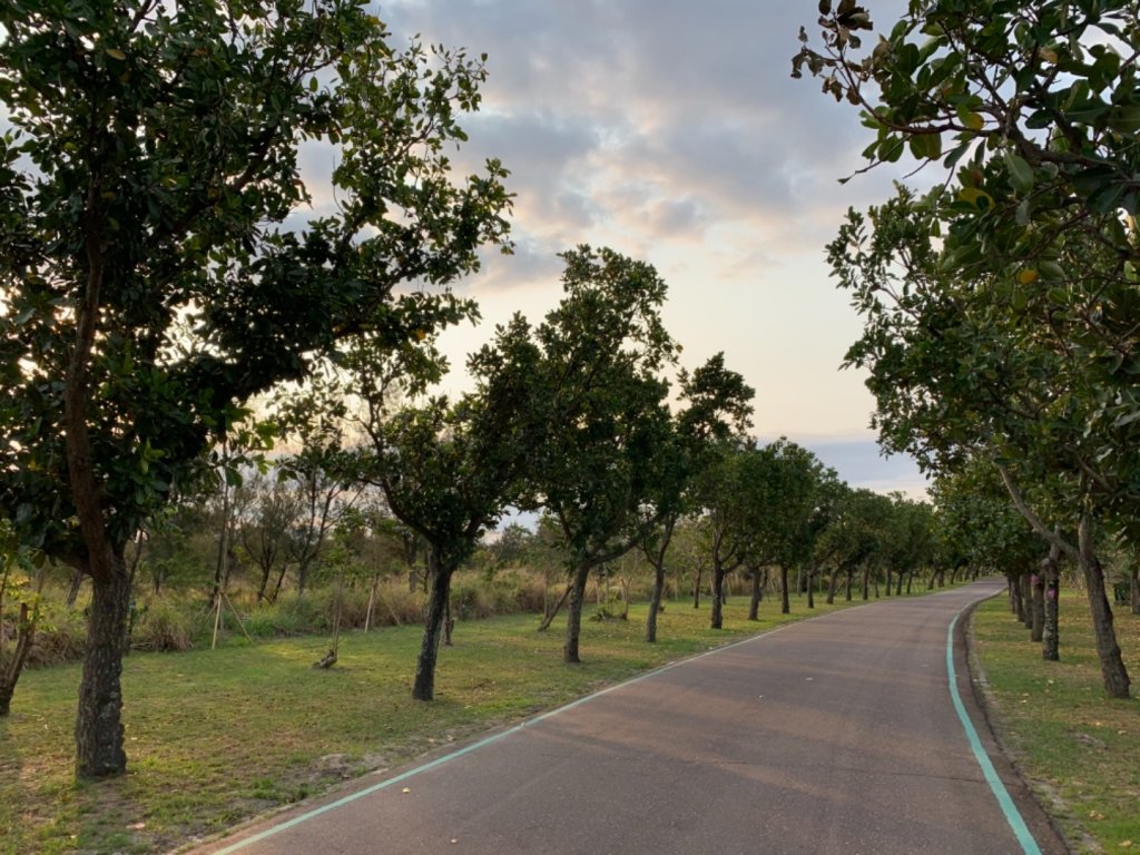 台東森林公園_552413